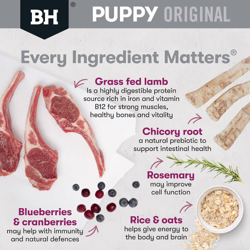 BLACK HAWK Original medium Breed Puppy Dry Dog Food Lamb & Rice ingredients features