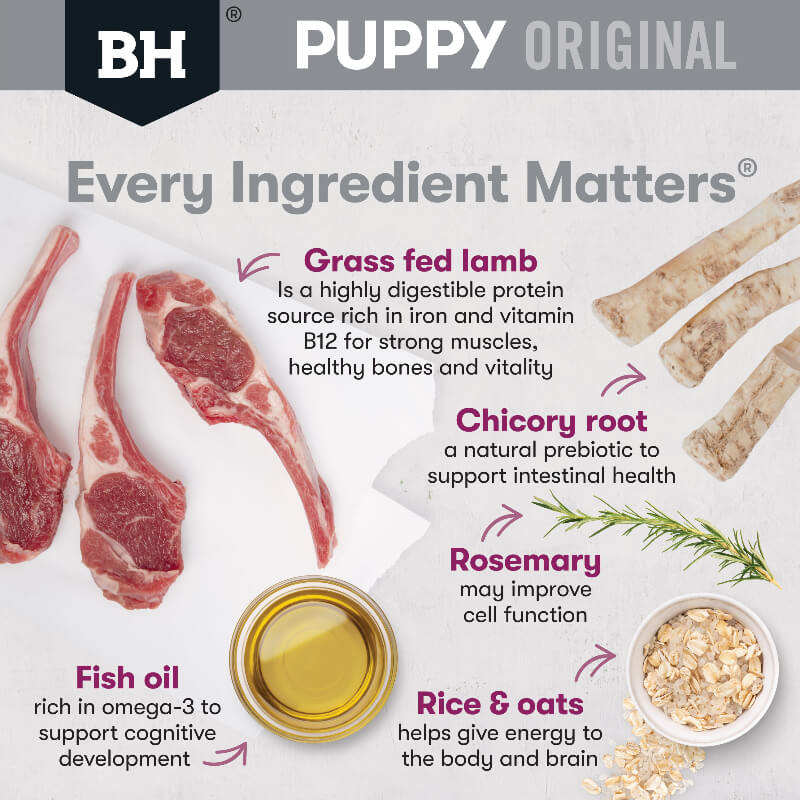 BLACK HAWK Original Small Breed Puppy Dry Dog Food Lamb & Rice ingredients