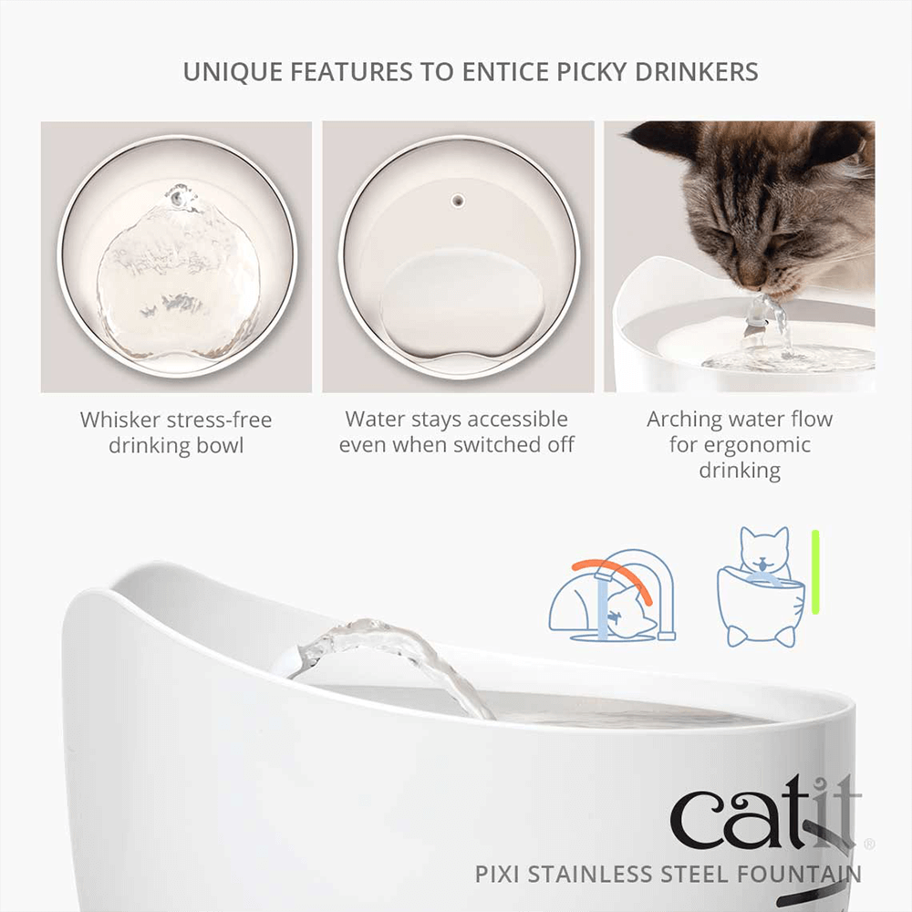 Pixi Cat Water Fountain Stanless Steel - ADS Pet Store