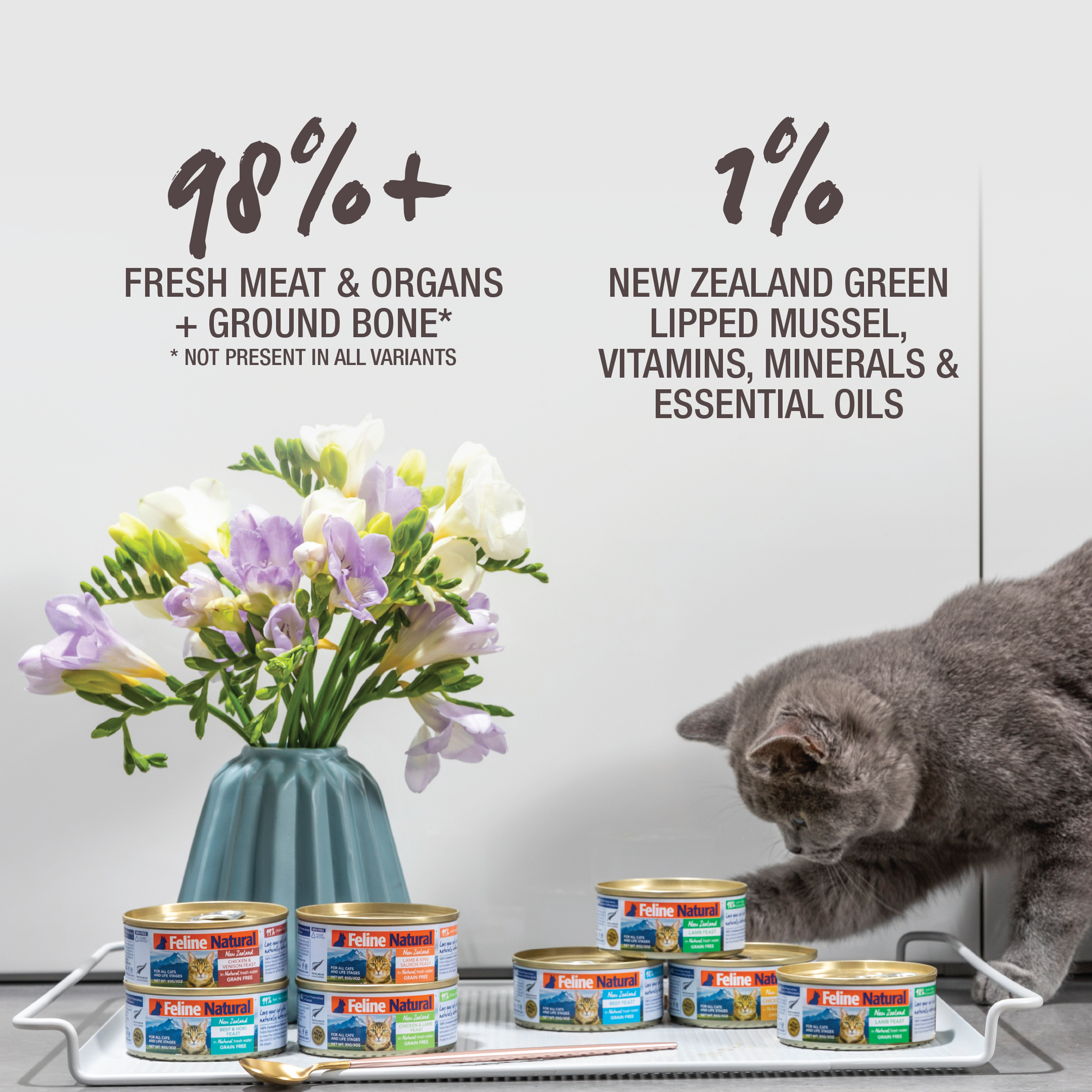 Feline Natural Lamb Feast Canned Cat Food 170G x 12 - ADS Pet Store