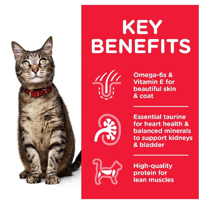 hills science diet chicken adult wet cat food pouches key benefits