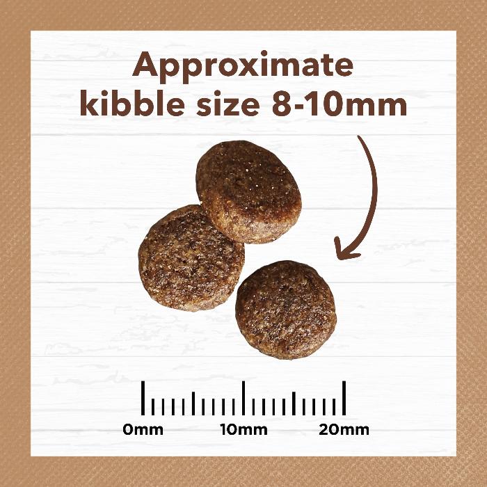 Ivory Coat Grain Free Adult Chicken And Kangaroo Dry Cat Food 4kg kibble size