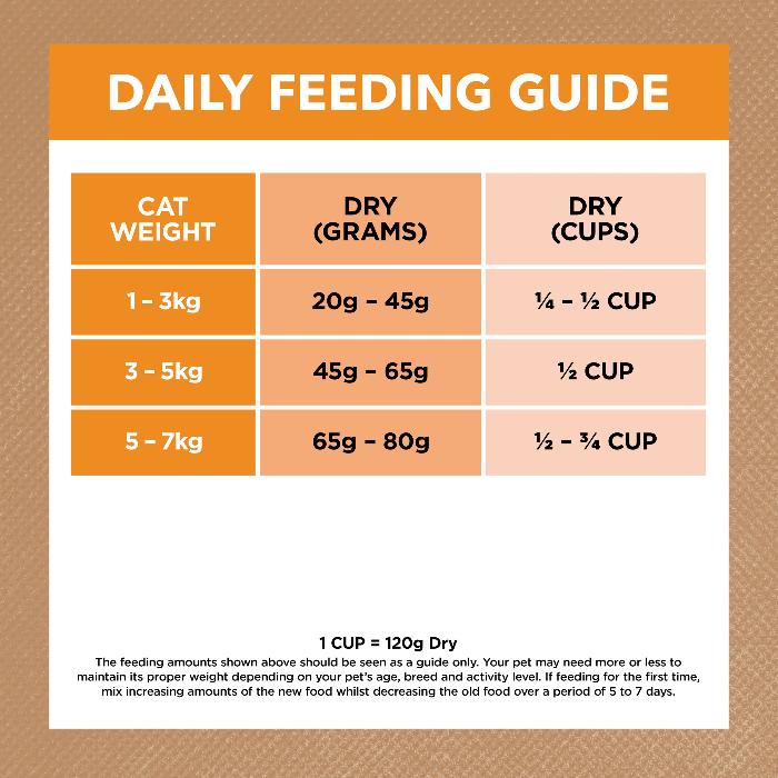 IVORY COAT Grain Free Adult Dry Cat Food Chicken 4KG feeding guide