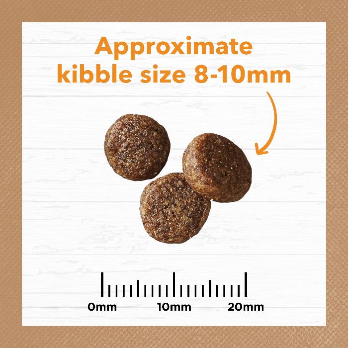 IVORY COAT Grain Free Adult Dry Cat Food Chicken 4KG kibble size
