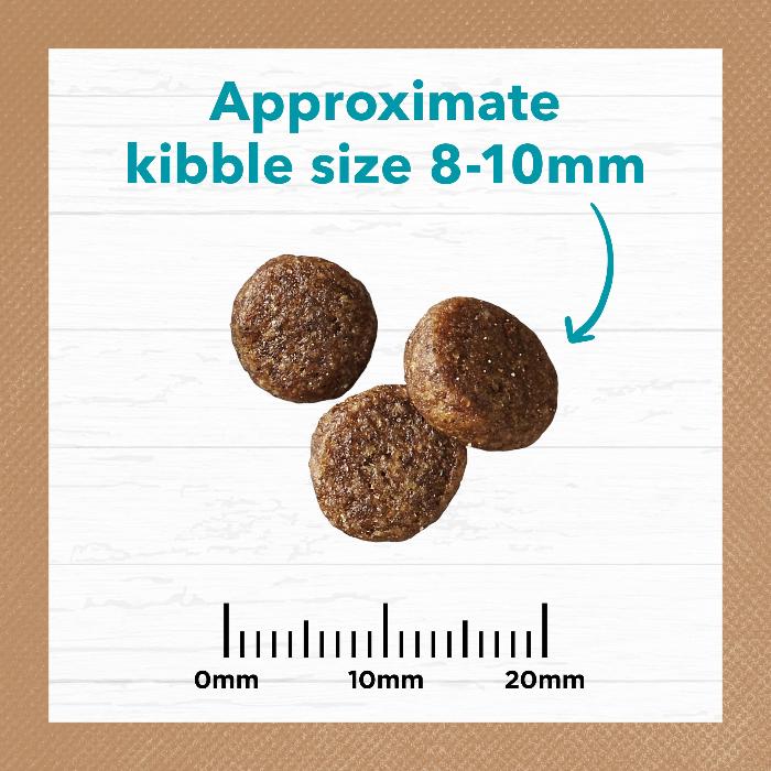 Ivory Coat Grain Free Adult ocean fish and salmon Dry Cat Food 4kg kibble size