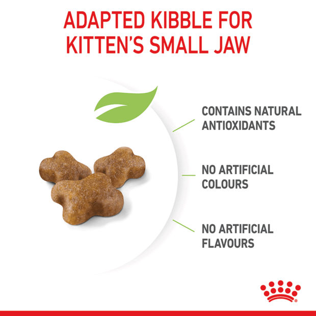 ROYAL CANIN Kitten Second Age Dry Cat Food adapted kibble size dor kittens small jaw and benefits of kibbles