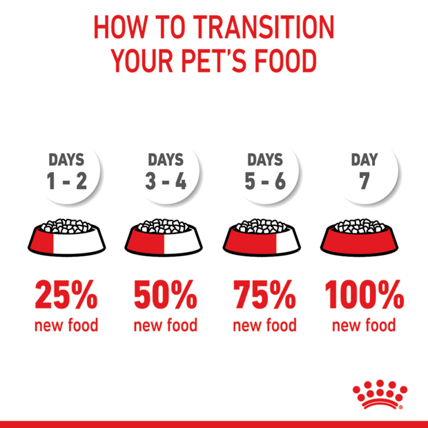 ROYAL CANIN Kitten Second Age Dry Cat Food transiition guide
