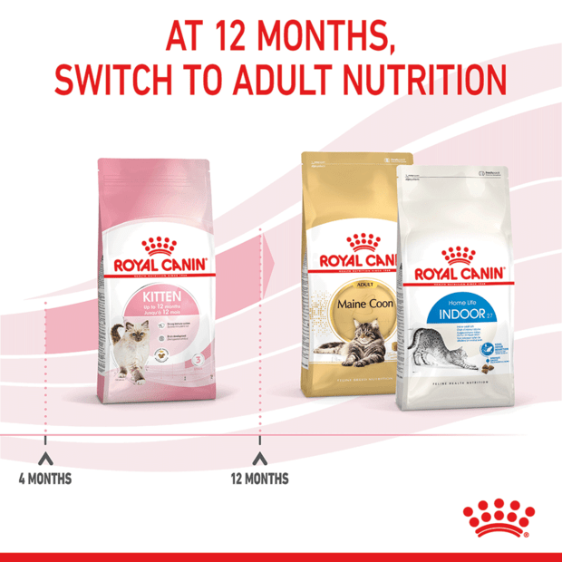 ROYAL CANIN Kitten Second Age Dry Cat Food 4KG - ADS Pet Store
