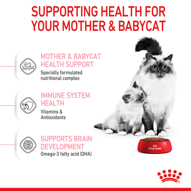 Royal Canin Mother And Baby First Age Kitten Dry Cat Food features