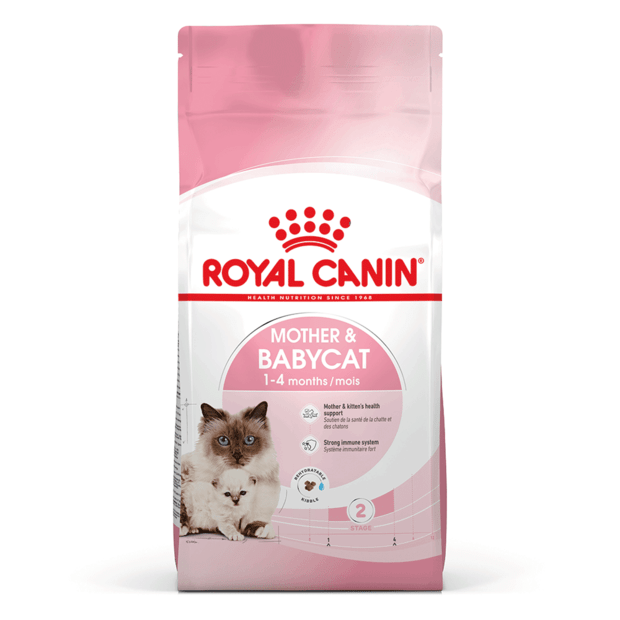 Royal canin kitten dry food deals 2kg