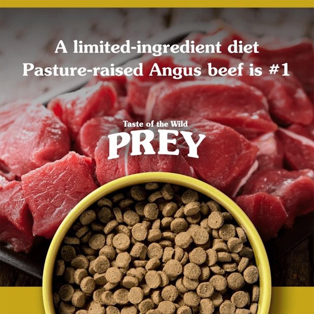 TASTE OF THE WILD Prey Grain Free Angus Beef Dry Cat Food 2.7KG - ADS Pet Store